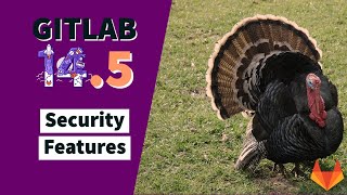 GitLab 14.5 Release: New Security Features