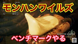 モンスターハンターワイルズベンチマーク動かしてみた