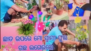 ଛାତ ଉପରେ ମୋ ସ୍ବାମୀ ଫୁଲ ଗଛ ଲଗେଇଲେ@Santosini sankhua