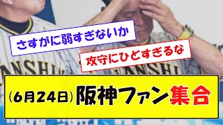 (６月２４日) 阪神ファン集合