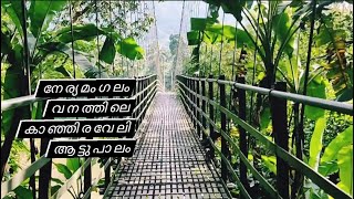 Kanjiraveli Bridge Near Neriamangalam //നേര്യമംഗലം വനത്തിലെ കാഞ്ഞിരവേലി  ആട്ടുപാലം