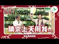 祥哥訪問華山：內耗型修行人 part4 當修行人出事？ 綠野林 周兆祥 祥哥