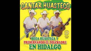 Cantar Huasteco - Boda Huasteca Y Preservando El Folcklore En Hidalgo (Disco Completo)