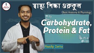 শর্করা, আমিষ, স্নেহ [ Carbohydrate, Protein \u0026 Fat ] বেসিক এনাটমি এন্ড ফিজিওলজি | গুরুকুল