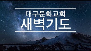 [2025-2-25 새벽기도] 아브라함의 믿음 (갈라디아서 3:6-9) / 대구문화교회 / 송재용 목사