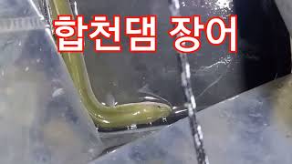 합천댐 장어.... #낚시하는사람들