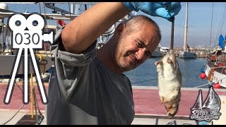 Rat Onboard! Horror of Finding a Rat on our Boat - Liveaboards Nightmare 030