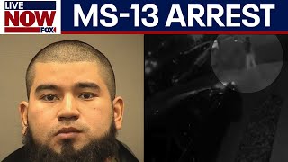 NEW DETAILS: MS-13 leader arrested in Virginia, DOJ says