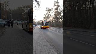 Autobus 251 Kier. Metro Wilanowska ( Nowa Trasa ) Solbus SM12 Solcity #1208