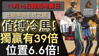 【賽馬貼士】11月16日 值搏冷馬！｜獨贏有39倍 位置都有6.6倍！值得一搏！