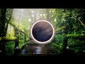 Birds - Scandinavianz (No Copyright Music)