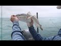 epic offshore fishing for snapper u0026 redfish dropped a gopro to the bottom