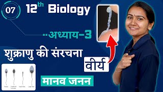 L-7, शुक्राणु की संरचना / वीर्य | Sperm Structure / Semen | Chp-3, मानव जनन | Human Reproduction