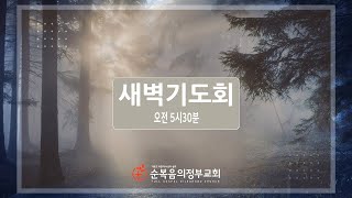 제사장의 무게(레 9:22~10:2)/ 배준철 목사 / 2025년 2월6일