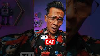 EASY THAI TUTORIAL: How to say CAT for Beginners \u0026 Travelers 🇹🇭🙏#shorts #learnthai #thailesson