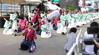 早稲田大学 東京花火【うらら】東京よさこい 池袋西口駅前広場