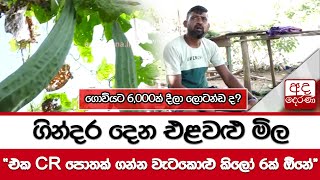 ගින්දර දෙන එළවළු මිල ''එක CR පොතක් ගන්න වැටකොළු කිලෝ 6ක් ඕනේ''