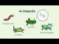 Food Systems in 3 minutes | The Culinary Art of Edible Insects | MikroKosmos Berlin