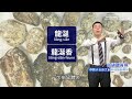 【台語聽有無】海洋生物相關台語按怎講｜台語新聞 鏡新聞