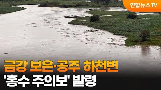 금강 보은·공주 하천변 '홍수 주의보' 발령 / 연합뉴스TV (YonhapnewsTV)