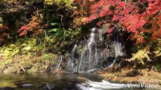 2019-10-28 黒石市 中野もみじ山