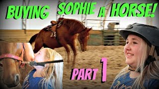 BUYING SOPHIE A HORSE! PART 1 Day 128 (05/08/18)