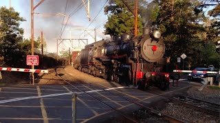 5917, 3237 & 4906, Steam in the Mountains, 27th September 2014