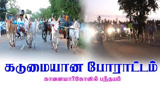 சின்னமாடு -2 ( காளையார்கோவில் ) 12.1.2022