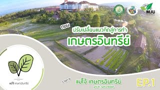 รายการ แม่โจ้เกษตรอินทรีย์ | ตอน เปลี่ยนแนวคิดสู่การทำเกษตรอินทรีย์