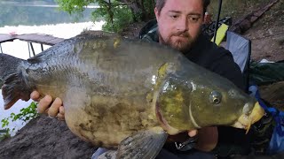 #MonsterCarp  Първия Трофеен Шаран за Сезона