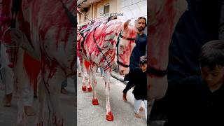 Zuljanah #shorts #explore #videos #zuljanah #azadari #muharrm #karbala #viral #trending