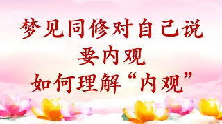 卢台长【节目录音+字幕】梦见同修对自己说要内观；如何理解“内观”