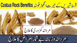 Costus Root Benefits in Urdu Hindi | Qust e Shireen Benefits in Urdu Hindi | Tib Hijama Online