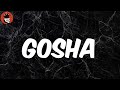 GOSHA (Lyrics) - $Not