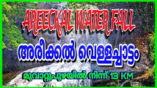 AREECKAL WATER FALL അരീക്കൽ വെള്ളച്ചാട്ടം മുവാറ്റുപുഴയിൽ നിന്ന് 13KM. @Chalakudy_Sauhrudam