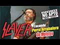 Slayer | Perra Arrabalera (Molotov Cover)