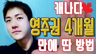 캐나다 영주권 4개월만 받는 방법 ! LMIA 신청 후 겪은 캐나다 이민 현실 AIPP 도전과 취득 후 직업선정_Part1