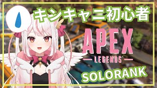 【APEX配信】キンキャニは迷子になるよ！！！ソロランクAPEX【羽恋ルルカ／新人Vtuber】