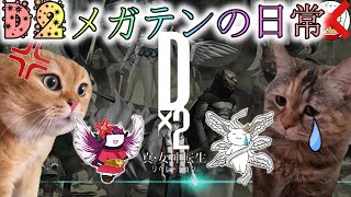 【D2メガテン】猫ミームで表現する古参D2プレイヤーの日常【女神転生】【猫ミーム】