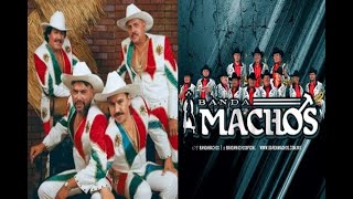 Banda Machos - Mi Banda el Mexicano