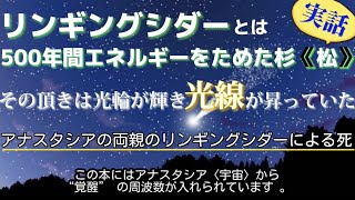 【アナスタシア読書会・1巻197～207ページ】(録音⑥後半)「この言葉に命があった・そしてこの命は人の光であった」➖ヨハネによる福音書➖～あなたは世界観を変える必要がある