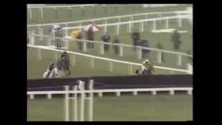 1989 Cheltenham Gold Cup Desert Orchid (Peter Bromley commentary)