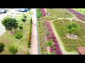 pink muhly grass and cosmos in gumi i autumn is just around