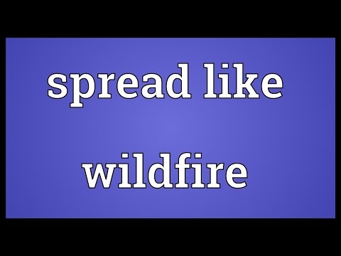 What is another way to say spread like wildfire?
