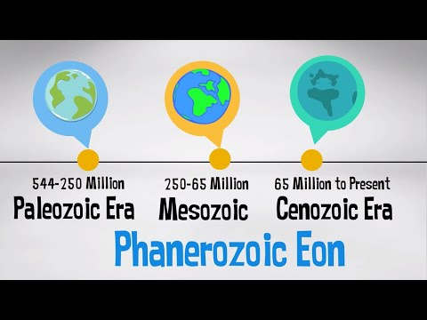Which of the three eras of the Phanerozoic eon is the longest and most diverse?