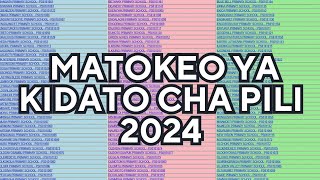 MATOKEO YA KIDATO CHA PILI 2024| NECTA FTNA RESULTS 2024..|HATUA ZA KUANGALIA MATOKEO YA FORM TWO..