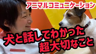 初めて犬と話して気付けた「言葉で伝える大切さ」　アニマルコミュニケーション初体験！動物と会話！？翌日には関係に変化が！アニマルコミュニケーター