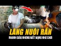 KINH HÃI LÀNG NUÔI RẮN ĐỘC Ở VIỆT NAM | LÀM GIÀU TỶ PHÚ NHƯNG MẤT MẠNG NHƯ CHƠI