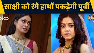 Molkki Episode spoiler; Sakshi को रंगे हाथों पकड़ेगी Purvi ; Virendra हुआ आगबबूला | FilmiBeat