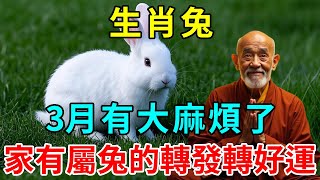 大事不妙！生肖兔3月有大麻煩了！誰家有屬兔的？快通知一下！ |悟者思維 #風水 #生肖 #平安是福 #佛語禪心 #運勢